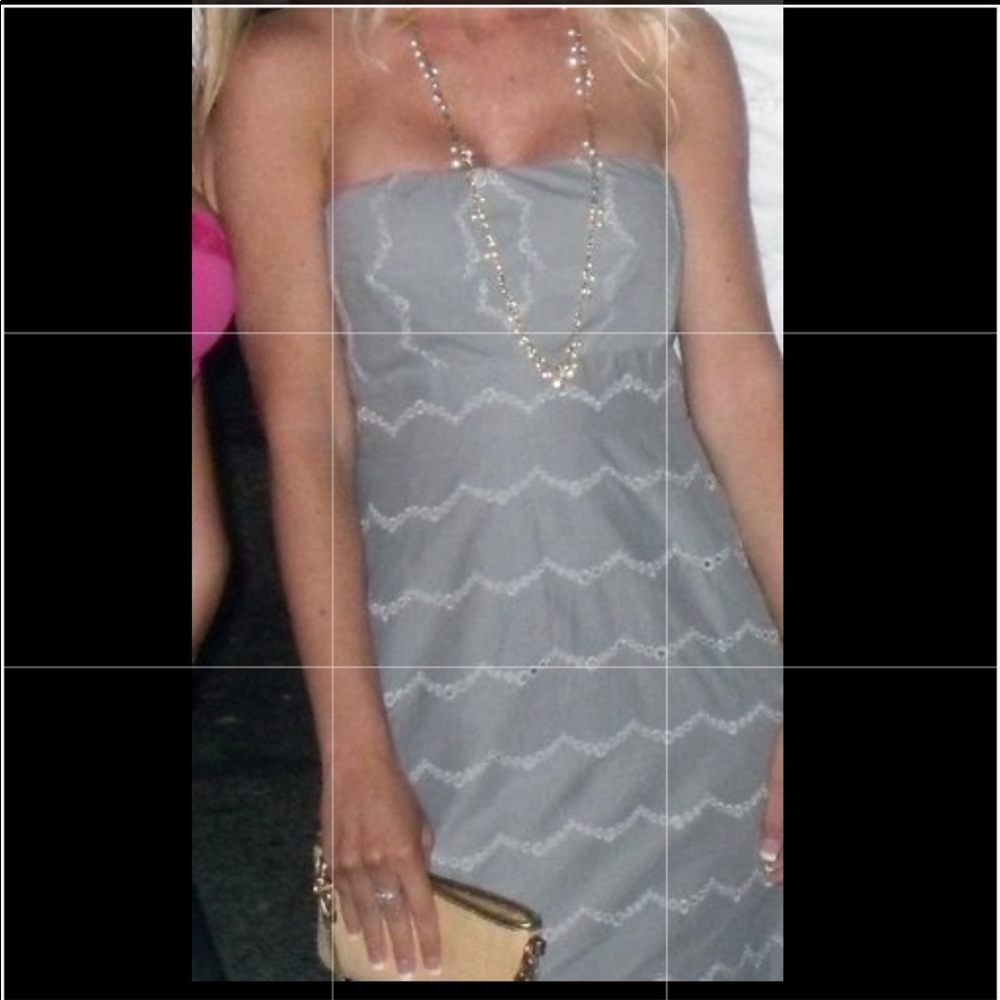 J. Crew dress